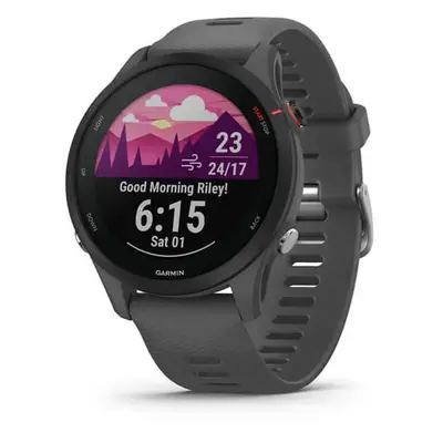 Garmin Forerunner 255 Slate Gray 010-02641-10