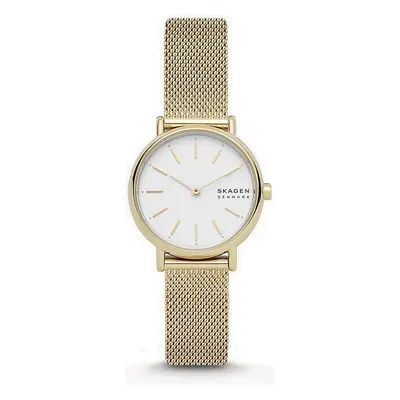 Skagen Signatur Lille SKW2693