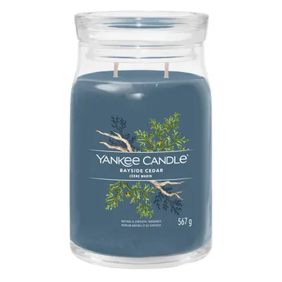 Yankee Candle Aromatická svíčka Signature sklo velké Bayside Cedar 567 g