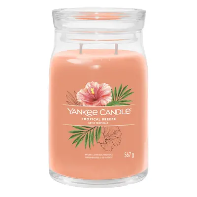 Yankee Candle Aromatická svíčka Signature sklo velké Tropical Breeze 567 g