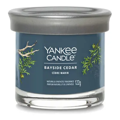 Yankee Candle Aromatická svíčka Signature tumbler malý Bayside Cedar 122 g