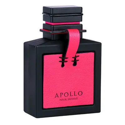 Flavia Apollo Pour Homme - EDP 100 ml