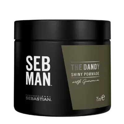 Sebastian Professional Pomáda na vlasy SEB MAN The Dandy (Shiny Pommade) 75 ml