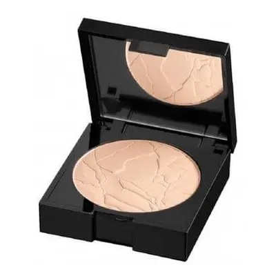 Alcina Matující pudr a make-up 2 v 1 (Matt Sensation Powder) 9 g Light