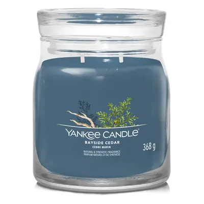 Yankee Candle Aromatická svíčka Signature sklo střední Bayside Cedar 368 g