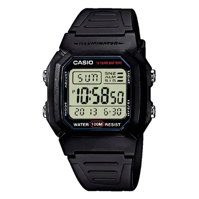 Casio Collection W-800H-1AVES (254)