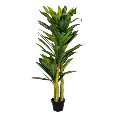 PLANTASIA 85196 Umělý strom Dracaena 120 cm, 81 listů