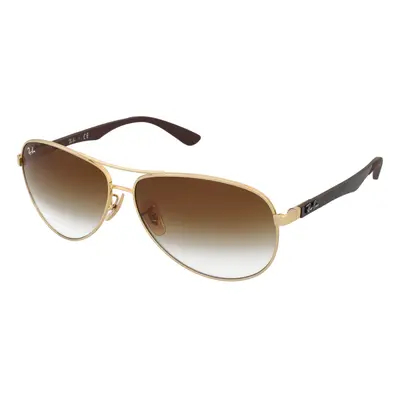 Ray-Ban RB8313 001/51