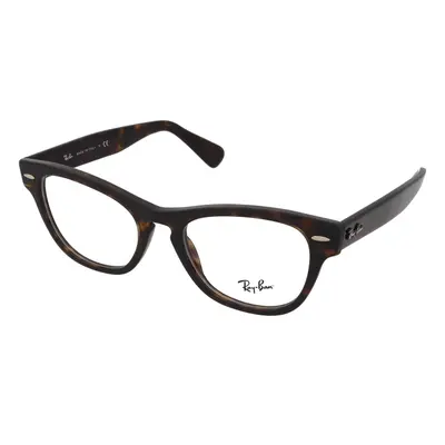 Ray-Ban Laramie RX2201V 2012