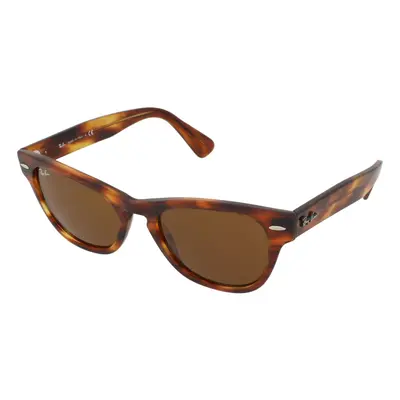 Ray-Ban Laramie RB2201 954/33