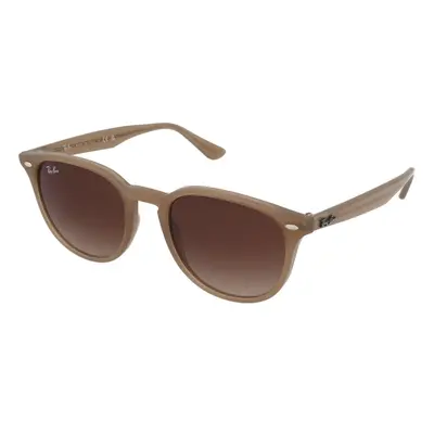 Ray-Ban RB4259 616613