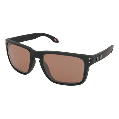 Oakley Holbrook XL OO9417 941735