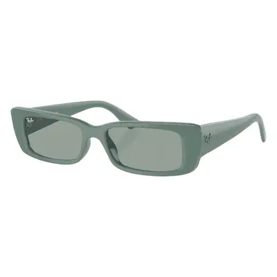 Ray-Ban Teru RB4425 676282