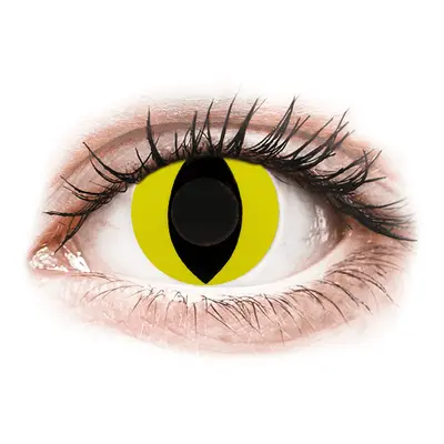 Gelflex CRAZY LENS - Cat Eye Yellow - nedioptrické jednodenní (2 čočky)