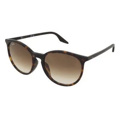 Ray-Ban RB2204F 902/51