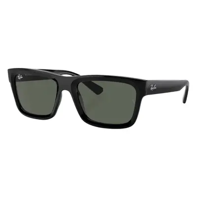 Ray-Ban Warren RB4396 667771