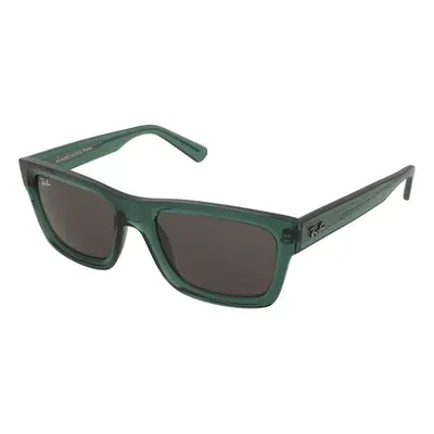 Ray-Ban Warren RB4396 6681/3