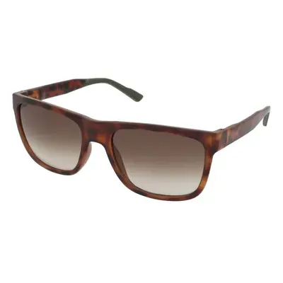 Calvin Klein CK21531S 220