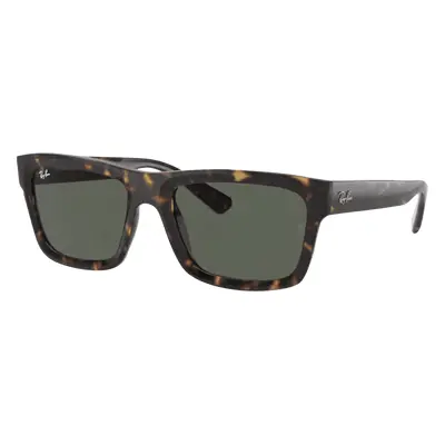 Ray-Ban Warren RB4396 135971