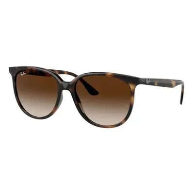 Ray-Ban RB4378 710/13