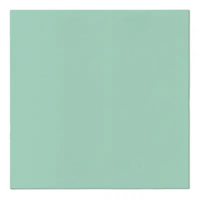 PAW - Ubrousky AIRLAID 40x40 cm Monocolor (mint)