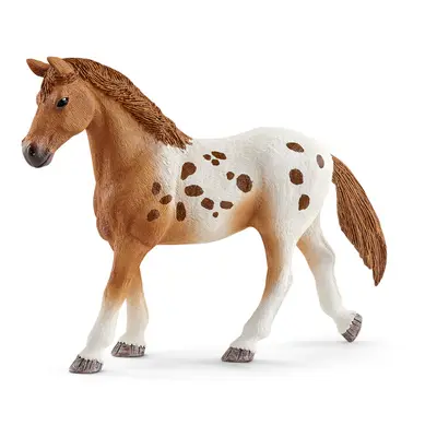 SCHLEICH - set appalosští koně a tréninkové příslušenstí