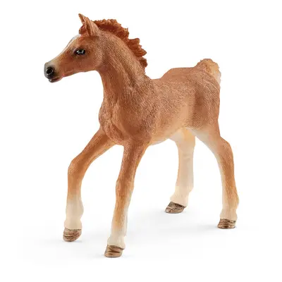 SCHLEICH - Hříbě s přikrývkou