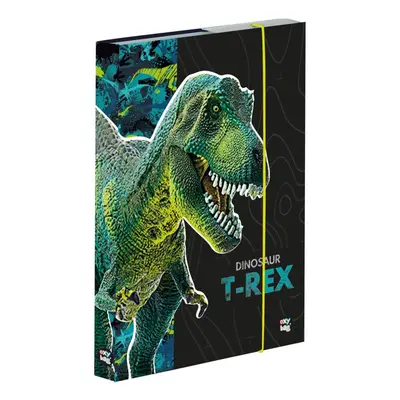 KARTON PP - Box na sešity A5 Premium Dinosaurus