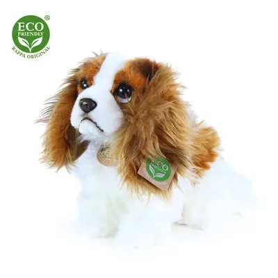 RAPPA - Plyšový pes king charles španěl 25 cm ECO-FRIENDLY