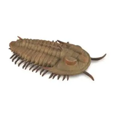 MAC TOYS - Redlichia Rex Trilobit