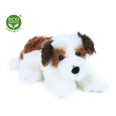 RAPPA - Plyšový pes Shih-tzu 45 cm ECO FRIENDLY