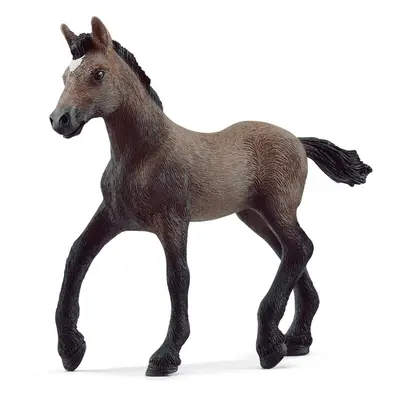 SCHLEICH - Zvířátko - Hříbě plemene peruánský paso