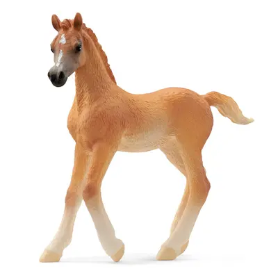 SCHLEICH - Zvířátko - arabské hříbě