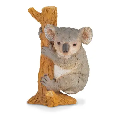 COLLECTA - Koala na stromě