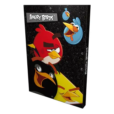 DERFORM - Box na sešity A4 Angry Birds