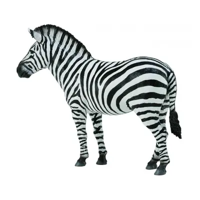 COLLECTA - Zebra