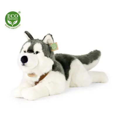 RAPPA - Plyšový pes husky s obojkem ležící 60 cm ECO-FRIENDLY