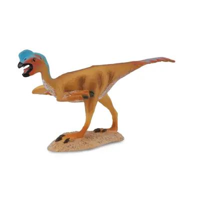 Collecte - Oviraptor