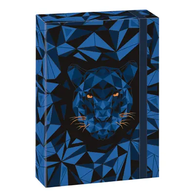 ARS UNA - Školní box A5 BLACK PANTHER