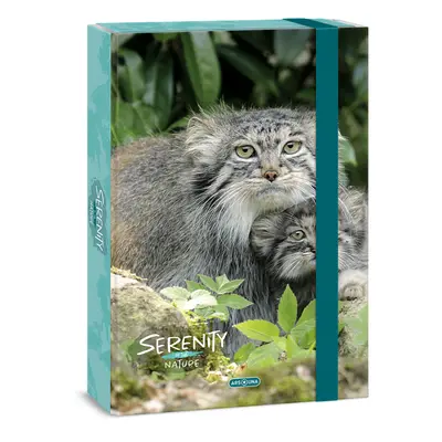 ARS UNA - Školní box A4 Serenity CAT