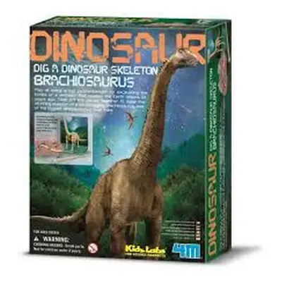 MAC TOYS - Dinosauří Kostra - Brachiosaurus