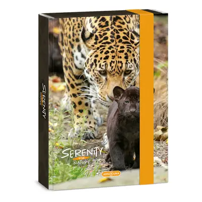 ARS UNA - Školní box A5 Serenity JAGUAR