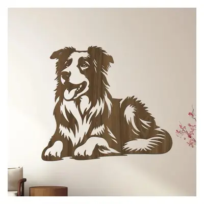 dřevo života Dřevěná dekorace psa BORDER COLLIE Rozměry (cm): 40x34, Zvolte barvu dekoru: Ořech