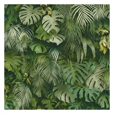 Vliesové tapety na zeď Greenery 37280-2, rozměr 10,05 m x 0,53 m, palmové listy a listy Monstera