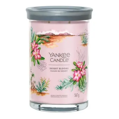 Yankee Candle vonná svíčka Signature Tumbler ve skle velká Desert Blooms 567g