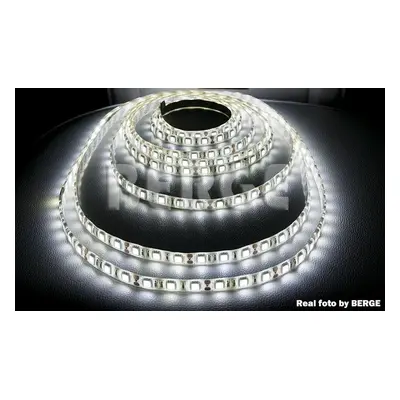 ECOLIGHT LED pásek - SMD 5050 - 5m - 60LED/m - 14,4W/m - studená bílá