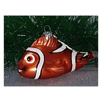 Ryba Nemo