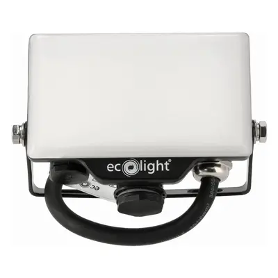 ECOLIGHT LED reflektor 10W 2v1 - studená bílá