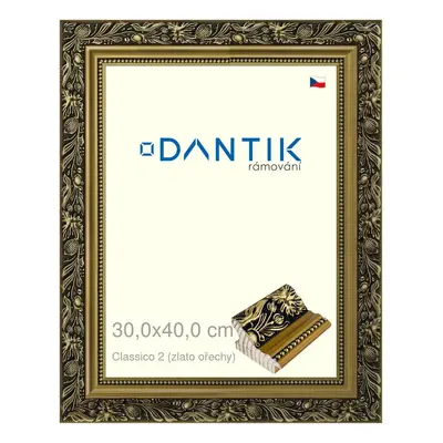 DANTIK rámeček 30x40 | Claico 2 (zlato ořechy) (Plexi Čiré)