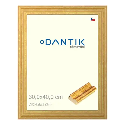 DANTIK rámeček 30x40 | LYON zlatá (Plexi Čiré)